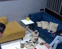 कांग्रेस नेता की पत्नी ने पति पर लगाया पीटने का आरोप