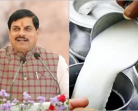 मोहन के नेतृत्व में अब एमपी बनेगा देश की मिल्क कैपिटल 