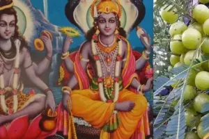 आंवला नवमी, जिसे अक्षय नवमी भी कहा जाता है,