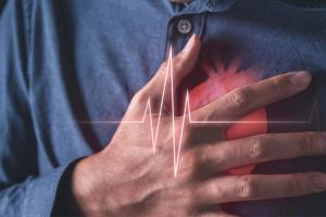 रात में एसआईआर का काम करते समय हार्ट अटैक से बीएलओ की मौत