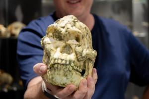  मानव विकास के इतिहास को लेकर एक अहम खोज सामने आई है।