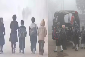मध्य प्रदेश में भीषण ठंड, 16 जिलों के स्कूलों में छुट्टी घोषित