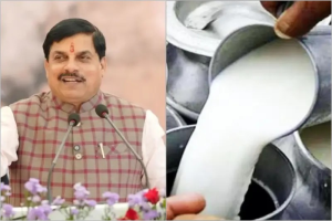 मोहन के नेतृत्व में अब एमपी बनेगा देश की मिल्क कैपिटल 