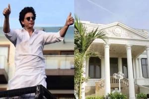 शाहरुख खान के बंगला मन्नत में मिले दो सांप