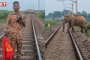 हाथियों की जान बचाने के लिए वनकर्मी ने दिखाई बहादुरी 